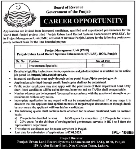 Project Management Unit PMU Lahore Jobs 2024